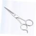 Beavorty Stainless Steel Scissors - Eyebrow & Beard Care Hairdressing Accessories - Buy Online on GoSupps.com