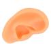 Soft Lifelike Silicone Flexible Left Ear Display Mould for Hospitals - Buy Online on GoSupps.com