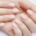 HN Hollywood Nails Platinum Fiberglass UV Builder Gel - Clear 15g | Best International Shipping - Buy Online on GoSupps.com