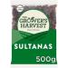 Grower's Harvest Sultanas (500G X 2) Turky Standard Sultanas | Premium Quality | Snacking and Baking - Buy Online on GoSupps.com