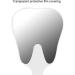 Buy Tooth-Shaped Dental Mirror - 25x13.5 cm Resin & Glass | International Shipping - Buy Online on GoSupps.com