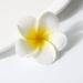 hgnxa Realistic Plumeria Flower Hairpin Elegant Wedding Hairclip Sweet Duckbill Clip Side Pin Nonslip Barrettes for Hair Shape - Buy Online on GoSupps.com