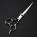 Hair Cutting Scissors 6.5 Inch Professional Japan 440c Steel Scissor Silver Hair Scissors Haircut Thinning Barber Cutting Shears Hairdressing Scissors Set - Buy Online on GoSupps.com
