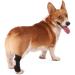 Dog Knee Brace 2-Pack Dog Leg Brace with Bimetallic Spring Bars Canine Rear Hock Support Protects Wounds Heals and Prevents Injuries and Sprains Helps with Loss of Stability Caused by Arthritis (M) - Buy Online on GoSupps.com