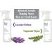MORE Stone & Quartz All Purpose Cleaning Spray + Protector - Peppermint 16oz Twin Pack - Buy Online on GoSupps.com
