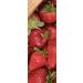 Stoneridge Orchards Whole Dried Strawberries 4 oz - Natural Fruit Snack - Buy Online on GoSupps.com