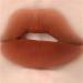  BADALO Velvet Mist Water Mist Lip Mud Soft Silky Matte Vegan White Lip Gloss Non-stick Lip Glaze Lipstick (Color : 914 Chestnut Caramel) - Buy Online on GoSupps.com