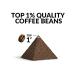 Premium Coffee Gift Set for Outdoor Lovers | 10 Best Single Estate & Organic Coffees | Perfect Gift for Men & Women | Brew Anytime Anywhere - Buy Online on GoSupps.com