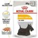 Royal Canin Dermacomfort Wet Pouches Adult Dog Food 85g (Pack of 48) - Buy Online on GoSupps.com
