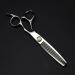 Hair Cutting Scissors 6 Inch Professional JP 440c Steel Flower Screw Hair Cutting Scissors Haircut Thinning Barber Cut Shears Hairdresser Scissors Set - Buy Online on GoSupps.com