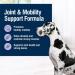 Blue Buffalo True Solutions Natural Mobility Care Adult Dry Dog Food Chicken 22-lb Mobility Care Dry Dog Food - Lg Bag - Buy Online on GoSupps.com