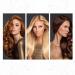 Rocco Donna Roccoil Leave-In Conditioner Satin Blow-Dry Mist Spray 8 oz - Weightless Style, Smoothing, Hydration - Buy Online on GoSupps.com
