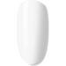 Bluesky Gel Nail Polish Studio White - 80526 White Long Lasting Chip Resistant 5ml (Requires Drying Under UV LED Lamp) White 5 ml (Pack of 1) - Buy Online on GoSupps.com