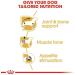Royal Canin Dachshund Adult Mousse | Double Pack | 2 x 12 x 85 g | Complete Food for Dogs | for Adult Dachshunds | May Help Protect Bones and Joints - Buy Online on GoSupps.com