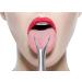 Stainless Steel Tongue Cleaner Scraper for Fresh Breath - Oral Hygiene Tool with Carry Case for Adults - Buy Online on GoSupps.com