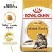 Royal Canin Maine Coon Adult Dry Cat Food 400g - Buy Online on GoSupps.com