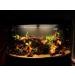 TM Aquatix Aquarium Wood Decoration Premium Pieces 100% Natural (40-50cm Mopani) - Buy Online on GoSupps.com