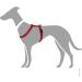 HUNTER Vario Rapid Harness 48-70 cm - Premium Red Pet Harness for Dogs | International Shipping Available - Buy Online on GoSupps.com