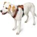 HUNTER Harness Maldon 37-53/XS-S Orange/Grey | Premium Pet Harness for Small Dogs - Shop Now! - Buy Online on GoSupps.com
