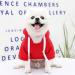 Red Dog Hoodie for Small Girls | Warm Fleece Sweater for Extra Small Maltipoo Dogs - Buy Online on GoSupps.com