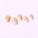Justotry 24 Pcs White Square Short False Nails - Gradient Nude French Press on Nails with Nail Glue - Pretty Squoval Fake Nails for Women - Buy Online on GoSupps.com