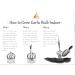 Kejora Fresh Garlic Bulbs - Pack of 5 Bulbs for Flavourful Cooking - Buy Online on GoSupps.com