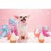 Unique Style Paws Pink Silk Dog Collar - Adjustable Soft Fly Collapsible Gift for Small Female Dogs - Buy Online on GoSupps.com