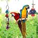 JIAYUE Bird Toys | Rope Bungee Chewing Toy for Parrots & Small Birds (9pcs) - Cage Accessories for Parakeets, Cockatiels, Macaws, Lovebirds - Buy Online on GoSupps.com