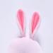 Shop Baby Toddler Head Protection | Adjustable Safety Passport for Little Runners - Cute Bee Fox Bear & Pink Rose Designs - Buy Online on GoSupps.com