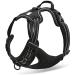 Winhyepet Truelove No-Pull Dog Harness - Reflective & Adjustable with 2 Linen Clips | Control Handle for All Dog Sizes - TLH5651 L Black - Buy Online on GoSupps.com