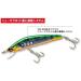 Yo-Zuri Mag Darter 5-Inch Floating Diver Lure - Holographic Perch | Quality Fishing Tackle - Buy Online on GoSupps.com