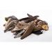 Japanese Dashi Soup Base: New Package Bonito (KATSUO) 8.8g x 50 Packets - Buy Online on GoSupps.com