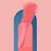 Lckiioy 3-Piece Detangling Brush Set | Perfect for Wet Dry Curly & Natural Hair | Effortless Hair Care & Styling - Buy Online on GoSupps.com