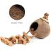 Tfwadmx Coconut Hide with Ladder - Natural Fiber Hanging Birdhouse Cage for Parrot, Parakeet, Lovebird, Finch, Canary - 2 Pcs - Buy Online on GoSupps.com
