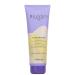 Inebrya Blondesse No-Yellow Mask 250ml Cedar 300 ml (1 pack)