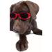 Doggles ILS X-Small Racing Flames Frame with Orange Lens - XS 1 - Buy Online on GoSupps.com