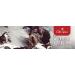 Old Spice Wolfthorn Deo Stick 50ml - Long-lasting Scent for Men - Buy Online on GoSupps.com
