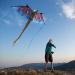 WindNSun Super Size 3D Blue Dragon Kite | 76 Wide Ripstop Nylon | Glass Eye Design - Buy Online on GoSupps.com