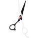 Hair Scissors Hairdressing Scissors for Family Haircuts Hairdressers Hair Salon - Buy Online on GoSupps.com