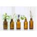 Buy Apple Cinnamon Essential Oil - 100% Pure Aromatherapy - Nature's Note Organics - 0.3 Fl Oz - International Shipping Available - Buy Online on GoSupps.com