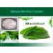 Natural Menthol Crystals Aromatherapy Relieves Congestion Blocked Nose Cold Flu Sinus from Turkey (100g) - Buy Online on GoSupps.com