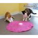 Blackhole Catch The Tail Cat Toy Interactive Play-Catch Electric Rotating Feather Motion Automatic Best Undercover Mouse Under Blanket Cat Toy - Buy Online on GoSupps.com