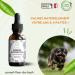Bach flower advice - Hyperactive Animal Floral Elixir - An Effective Mix - Soothe Channel and Calm Your Dog or Cat 30ml Pack of 2 - Buy Online on GoSupps.com