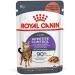 Royal Canin Appetite Control Care Complete Adult Wet Food in Gravy 24 x 85g - Buy Online on GoSupps.com