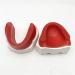 Fhuili Tooth Jaw Wax Embankment Model | Soft Wax Dental Mold for Artificial Teeth | Ideal for Studying - Buy Online on GoSupps.com