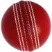 CRICKET - 7.5" PREMIUM Round ICING Cake Topper DECORATION D1 - Buy Online on GoSupps.com
