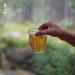 Pu-erh tea 2018 Yellow grass forest 200g Raw - Buy Online on GoSupps.com