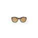 HIS HPS00100-1 sunglasses Brown pole