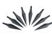Sinbadteck Traditional Broadheads 12PK - 100/125/150Grains Solid Metal Arrow Tips for Hunting and Target - Buy Online on GoSupps.com