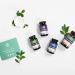 Global Healing Center Gut Health Kit: 30-Day Program for Digestive Maintenance - Prebiotic Probiotic Cleanse & Aloe Vera Supplements for Adults - Buy Online on GoSupps.com
